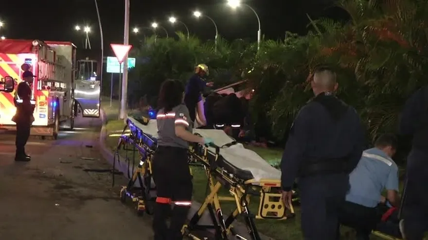 Un accidente y caída de un árbol