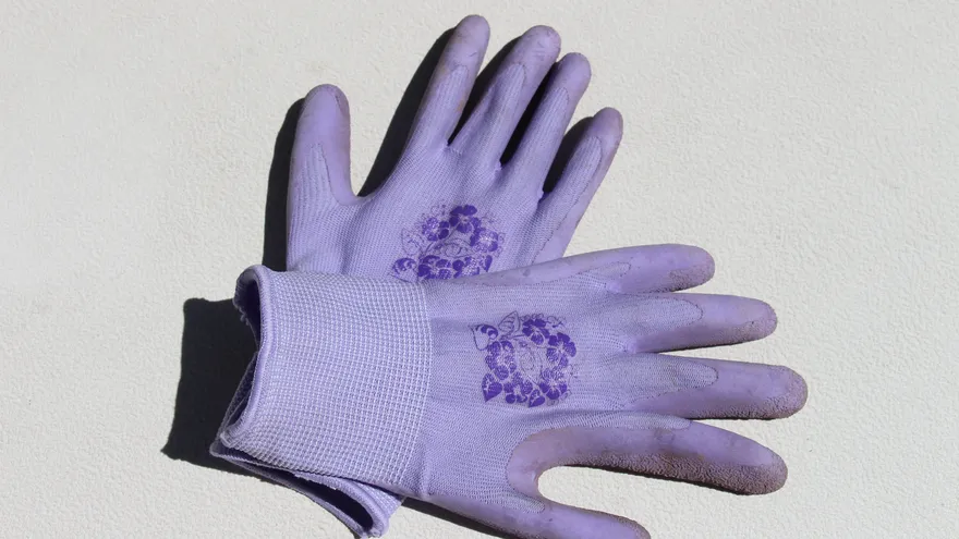 Imagen ilustrativa de unos guantes