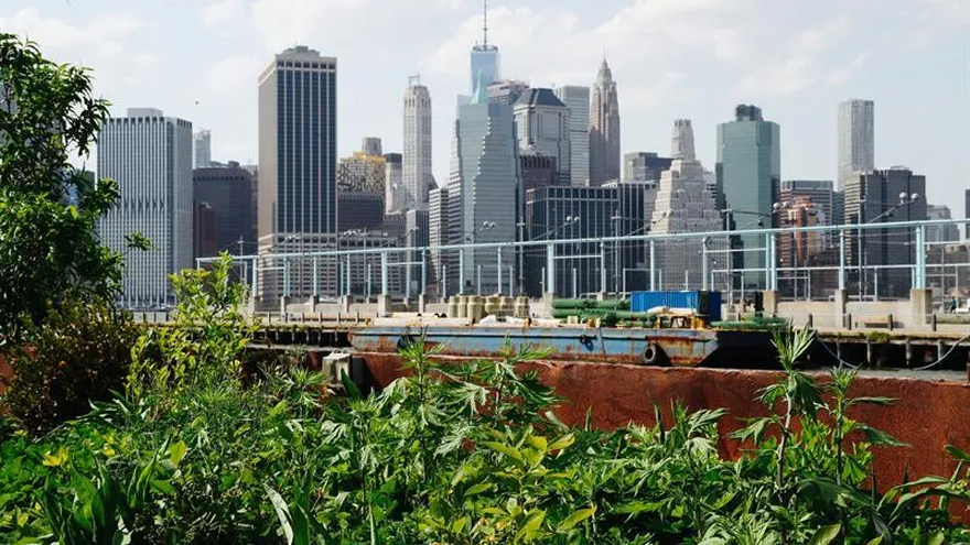 Huertos y jardines flotantes, la última innovación para mantener a los habitantes de las ciudades en contacto con la naturaleza.