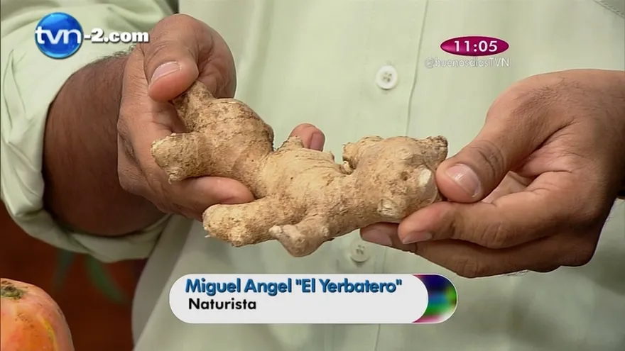 El Yerbatero - Remedios para la perdida de la memoria