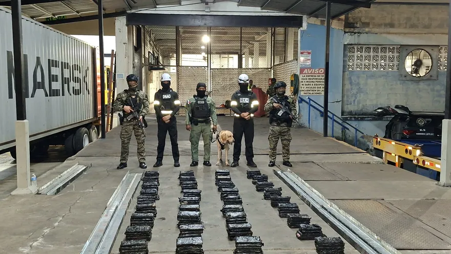 Incautan 194 paquetes de droga en contenedor con destino a Irlanda