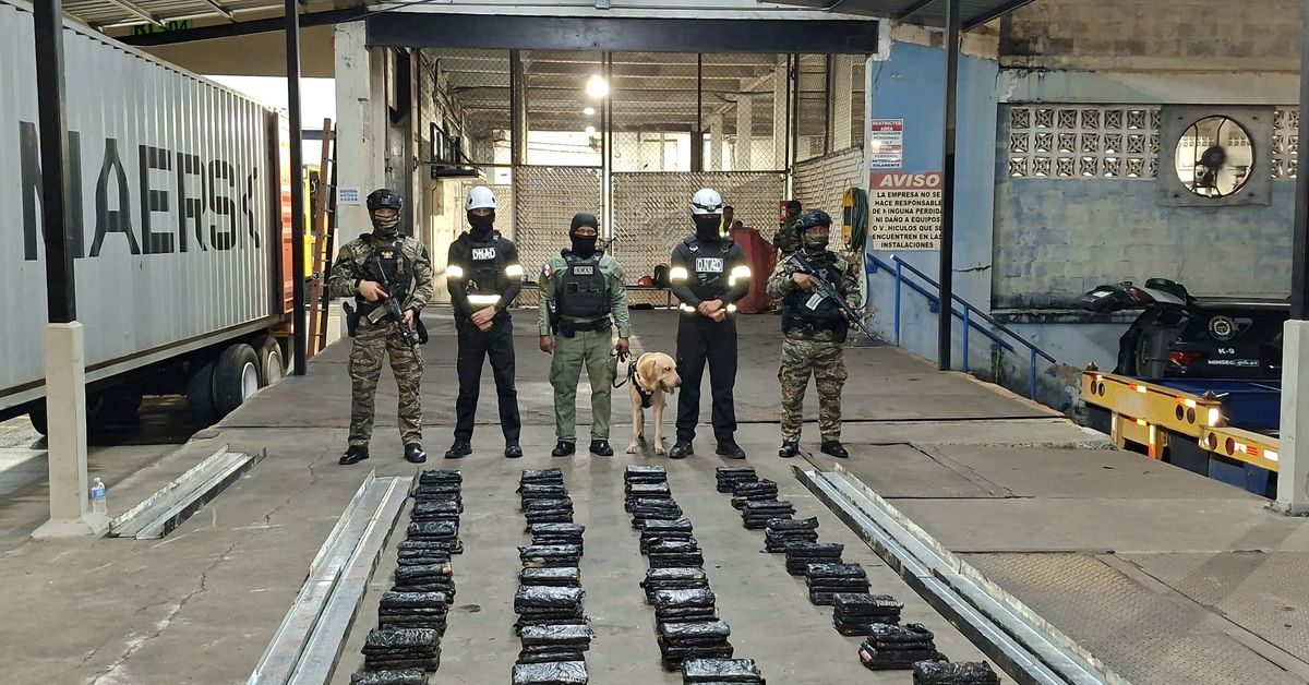 Contenedor procedente de Jamaica ocultaba 194 paquetes de presunta droga con destino a Irlanda