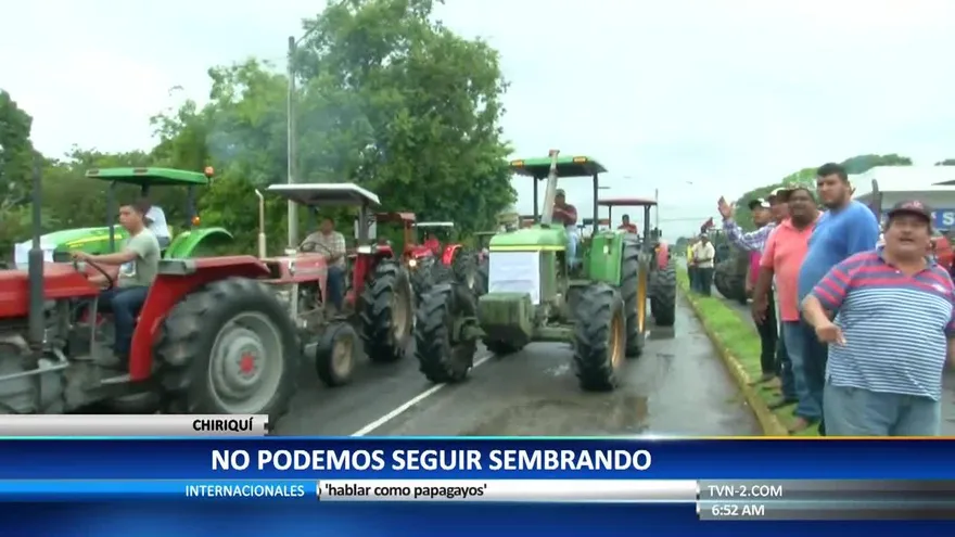 Productores de arroz en Chiriquí exigen pagos al Gobierno