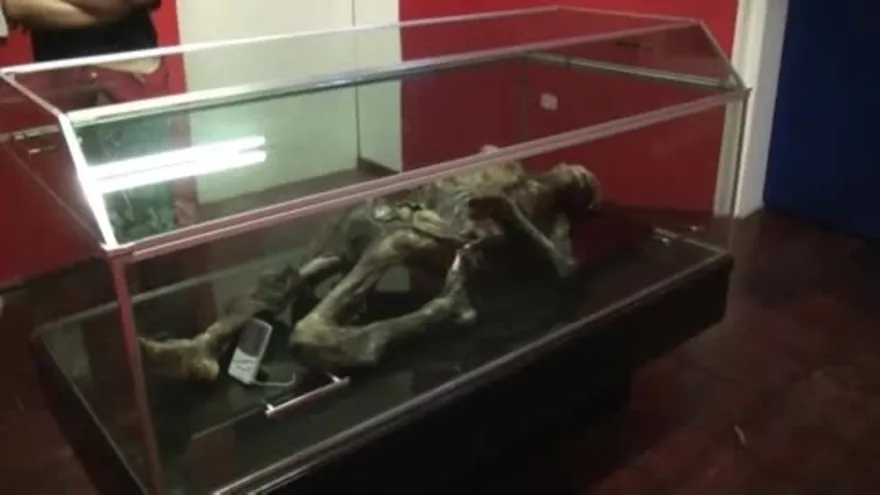 Exhiben misterioso cuerpo momificado hallado en el monte más alto de México