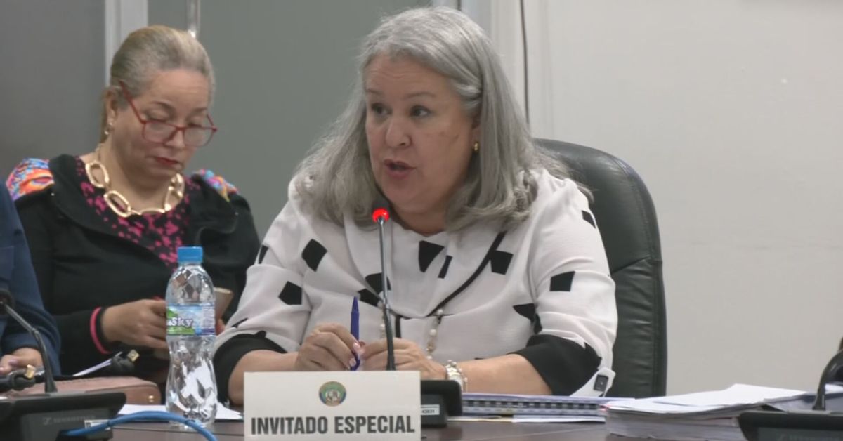 Diputados: comparecencia de Carles es clave para esclarecer manejo de la niñez