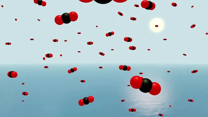 Videografía: La acidificación de los océanos