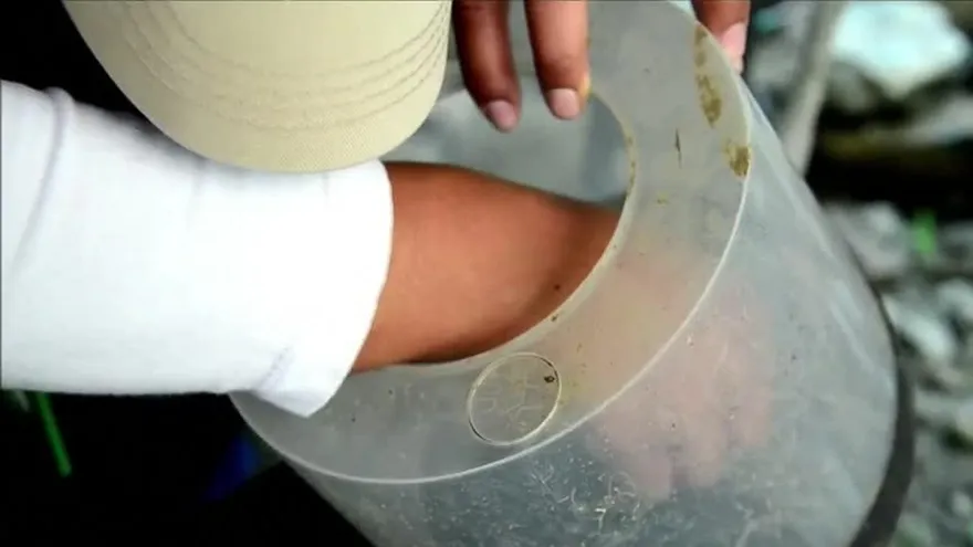 Comarcas harán jornada de limpieza para evitar el zika