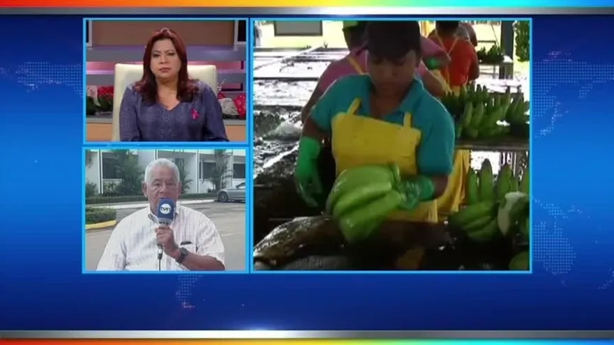 Productores exigen seguridad jurídica