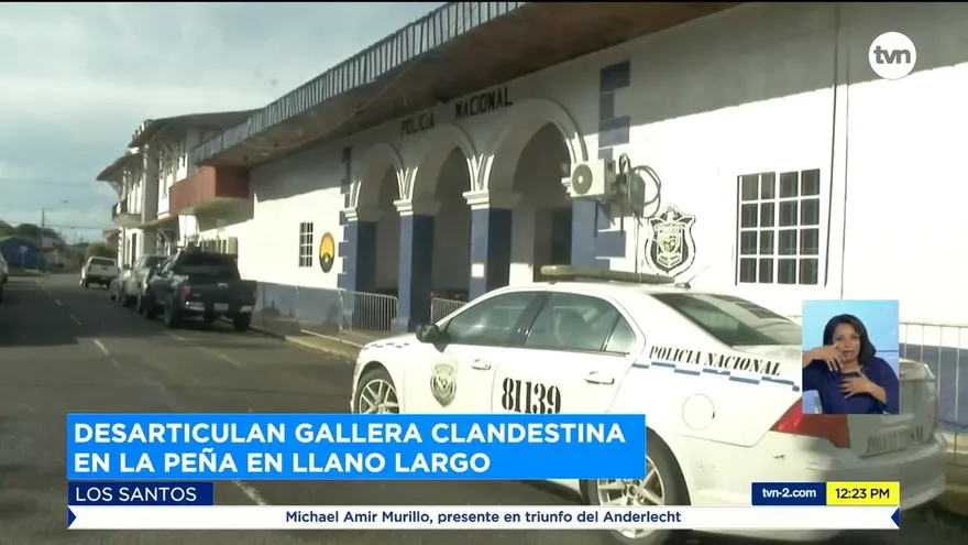 Tres personas detenidas por pelea de gallos clandestina en Los Santos