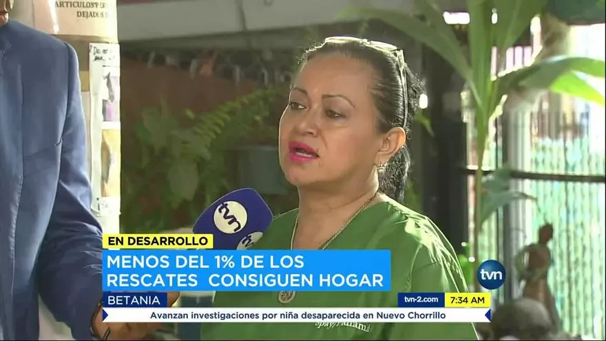 Menos del 1% de los rescates de animales logran hogar
