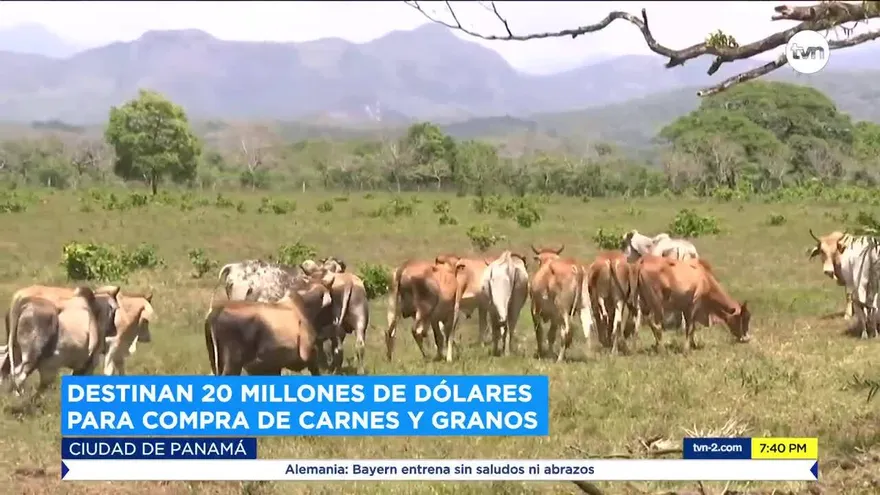 Destinan 20 millones de dólares para compra de carnes y granos
