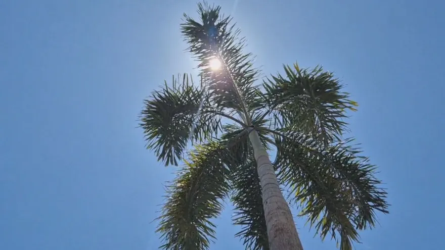 Altas temperaturas continuarán en el país