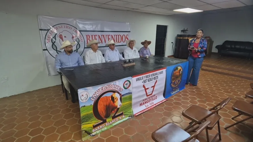 Ganaderos de Chiriquí impulsan el Núcleo Genético Tropical de Chiriquí Oriente