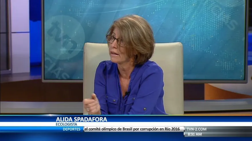 ‘Industria plastiquera influyó en el veto presidencial’: Alida Espadafora