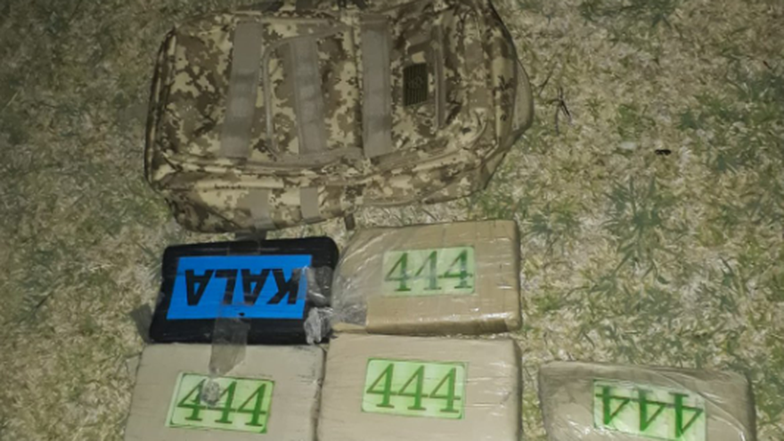 Parte de la droga decomisada