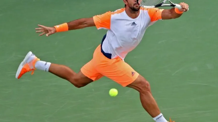 Verdasco disputará la final del torneo de Dubái ante Murray.