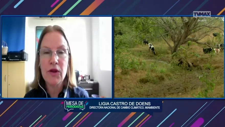 Mesa de periodistas - Entrevista a Ligia Castro, Directora de Cambio Climático