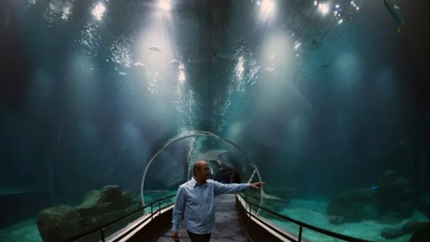 El biólogo marino Marcelo Szpilman muestra el túnel de cristal en la entrada del acuario.