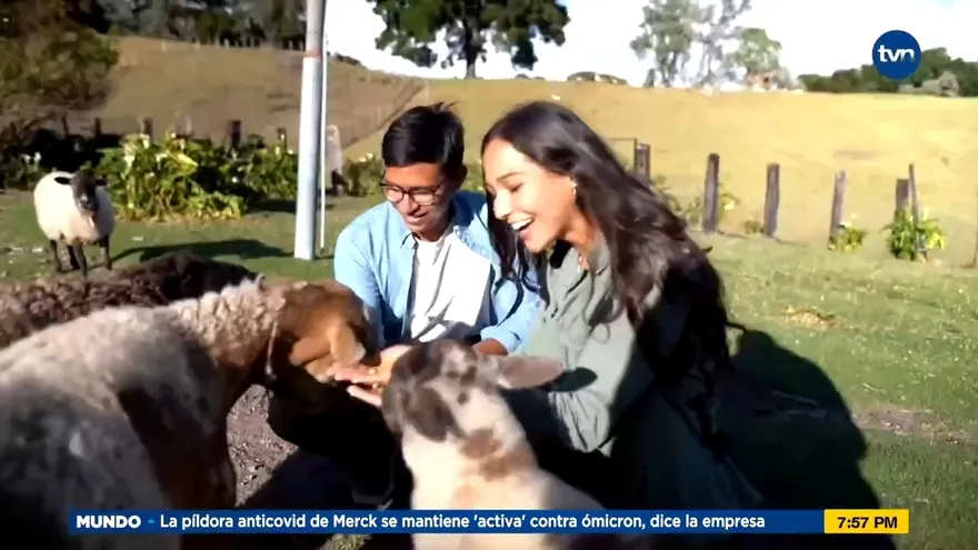 Estrena Los Festivaleros