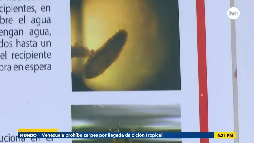 Ministro de Salud brindó nuevos datos sobre el dengue en Panamá