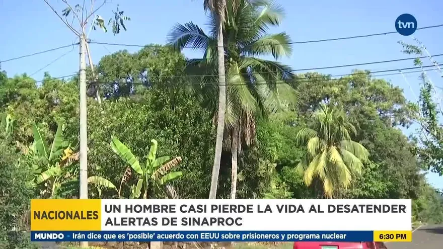 Enjambre de abejas africanizadas acaban con la vida de un adulto mayor