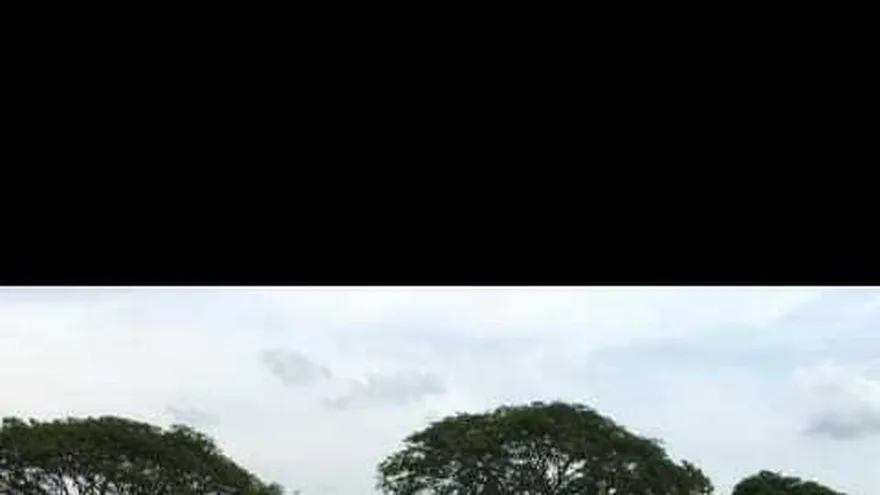 Natá, único invicto en el béisbol juvenil coclesano