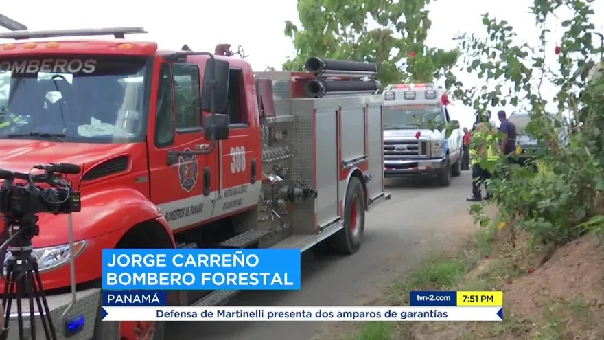 Aumentan emergencias por abejas africanizadas