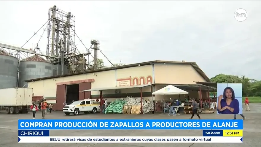 MIDA asegura que comprará zapallo a productores de Alanje