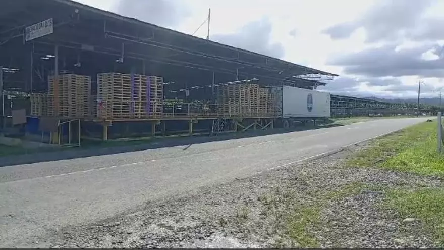Bananeras en Bocas del Toro