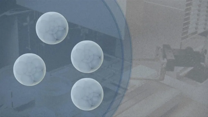 Videografía: La fecundación in vitro