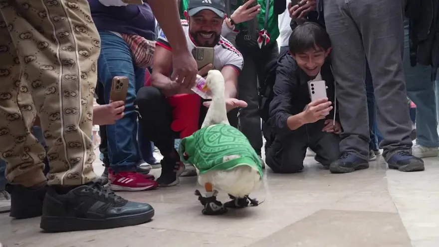 Mundial 2026 | El pato Merlín capta la atención en todo México