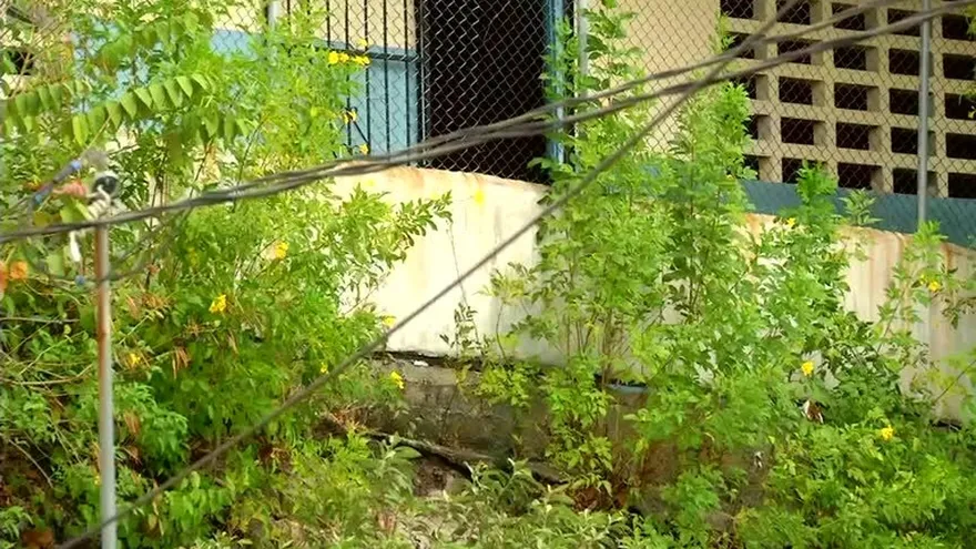 Ciudadanía en alerta por inseguridad de escuela en Juan Díaz