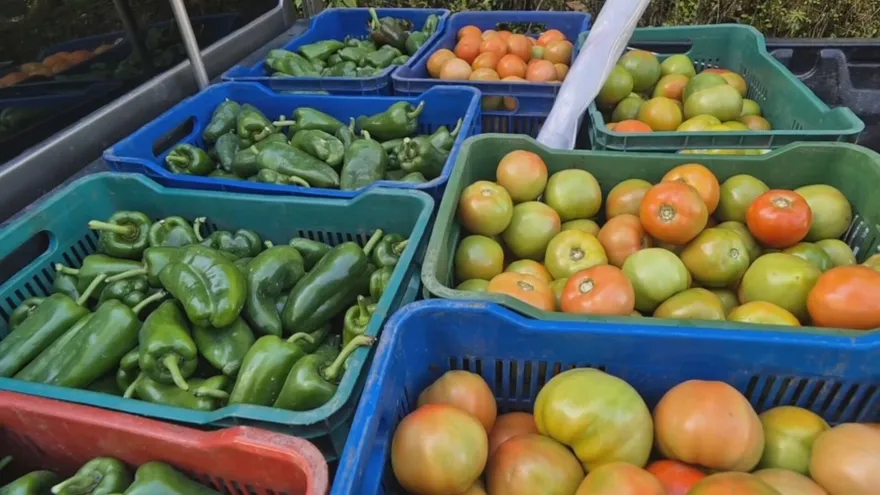 Productores agropecuarios de la provincia de Chiriquí se declararon en estado de alerta ante la situación comercial y sanitaria que mantiene Panamá con Costa Rica, al considerar que están en juego la seguridad alimentaria, la soberanía nacional y el patrimonio fito y zoosanitario del país.