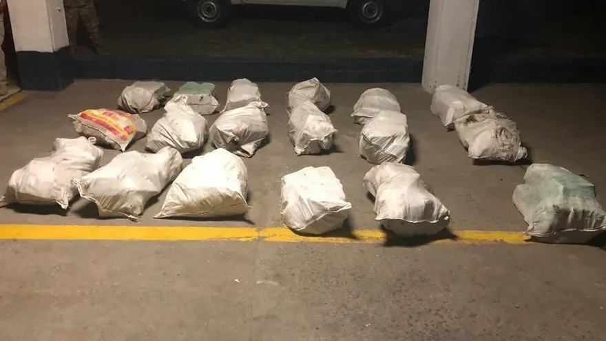 Continúan los decomisos de droga en San Carlos.