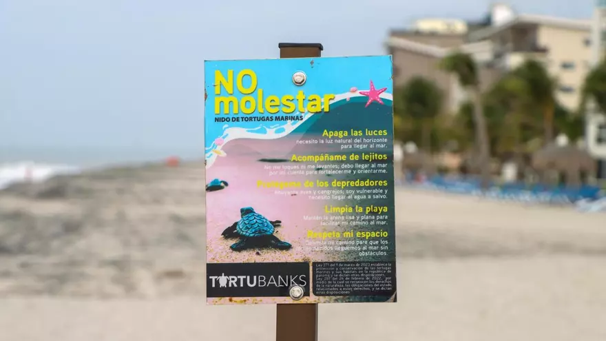 Campaña para cuidar los nidos de tortugas