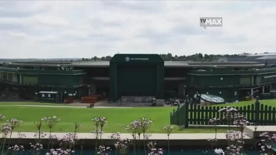 Djokovic y Williams llegarán al Wimbledon con el objetivo de seguir reinando