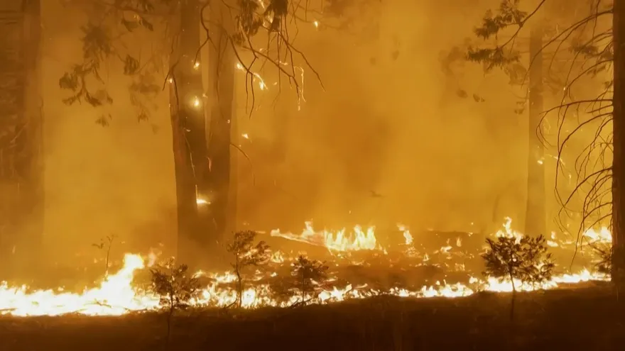 Desastres climáticos se multiplicaron por cinco en los últimos 50 años, según la ONU
