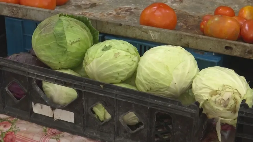 Altos precios en Merca Panamá preocupan a arrendatarios