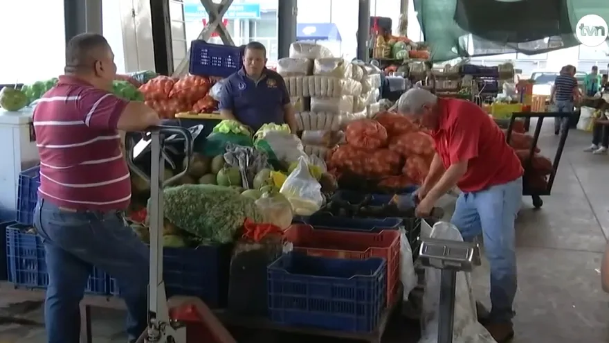 Llegan las legumbres a los mercados en David