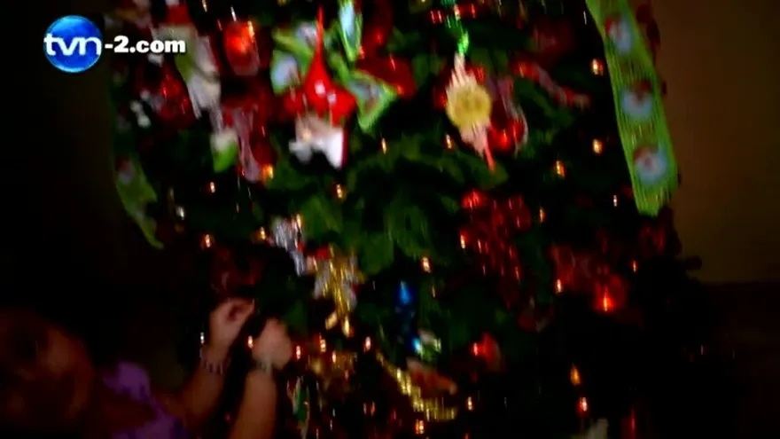 PRECAUCIONES PARA NAVIDAD