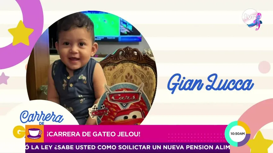 ¡La carrera de gateo más tierna de Jelou!