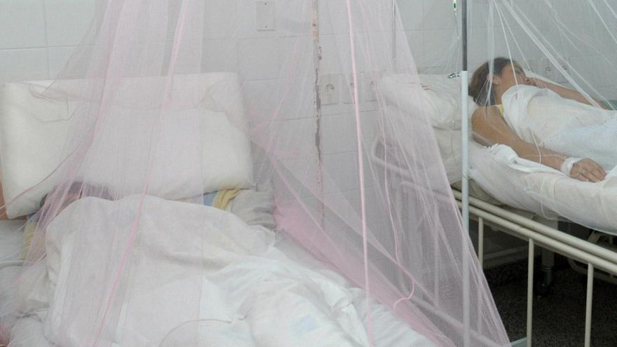 La malaria, también conocida como paludismo, es producida por parásitos del género "Plasmodium".