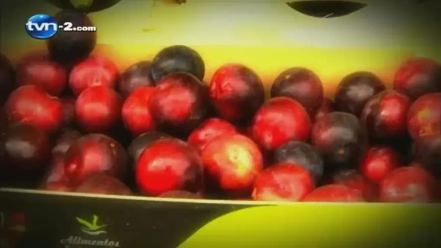 Beneficios de comer Frutas