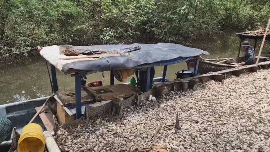 Autoridad de Recursos Acuáticos analiza posibles ajustes a sanciones a pescadores