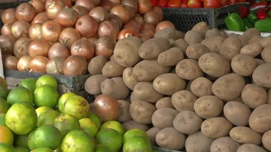 Productores nacionales denuncian posible comercialización de papa y cebolla