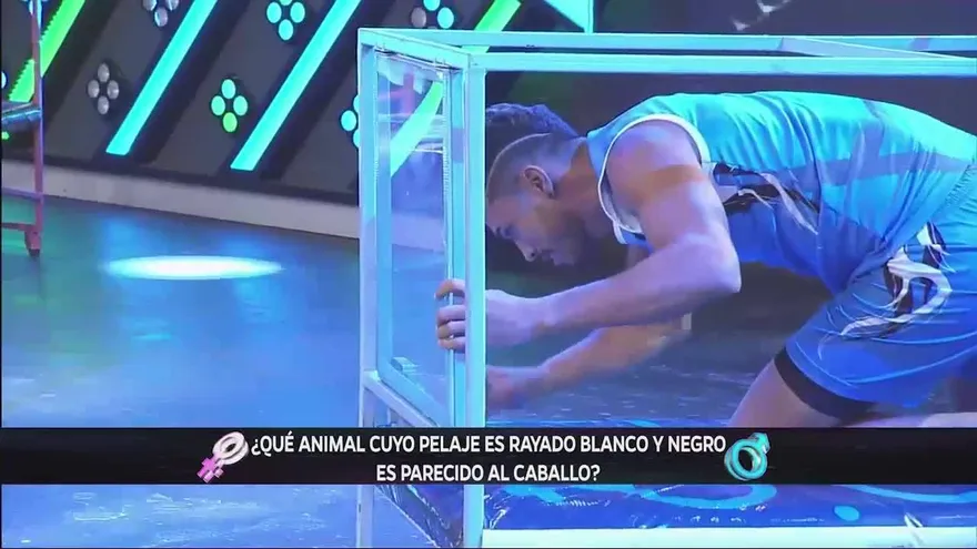 ¿Quién crees que obtuvo la victoria en Desordenados?