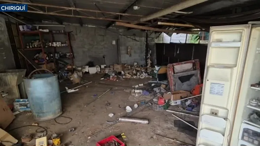 Ladron infraganti causa estragos en David