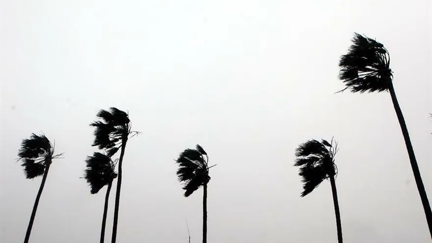 Alerta amarilla en ocho departamentos de Uruguay por vientos fuertes'