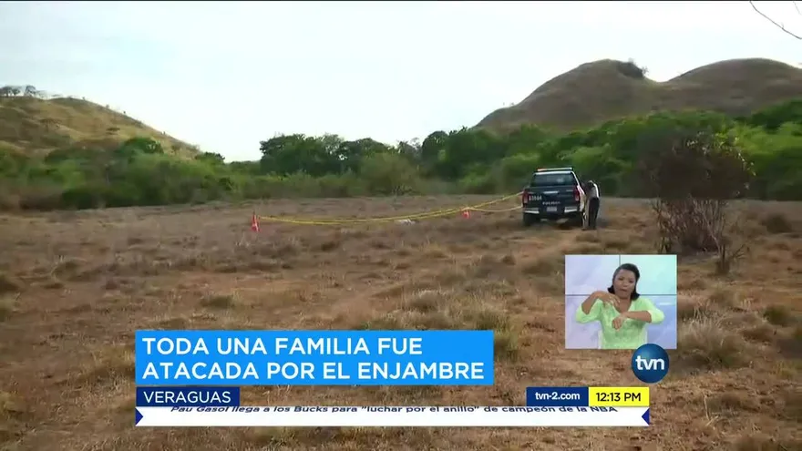 Una persona muerta por picaduras de abejas africanizadas