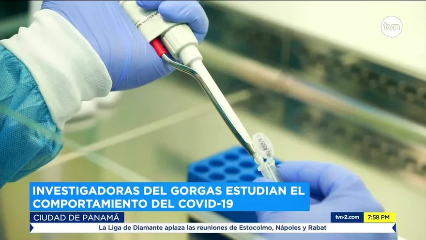 Las investigadoras del Gorgas que luchan contra el coronavirus en Panamá